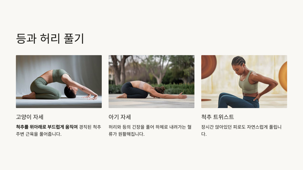 전신 스트레칭 순서