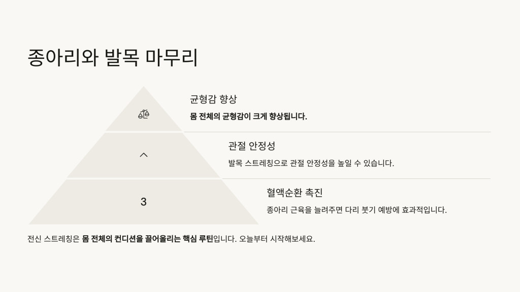 전신 스트레칭 순서
