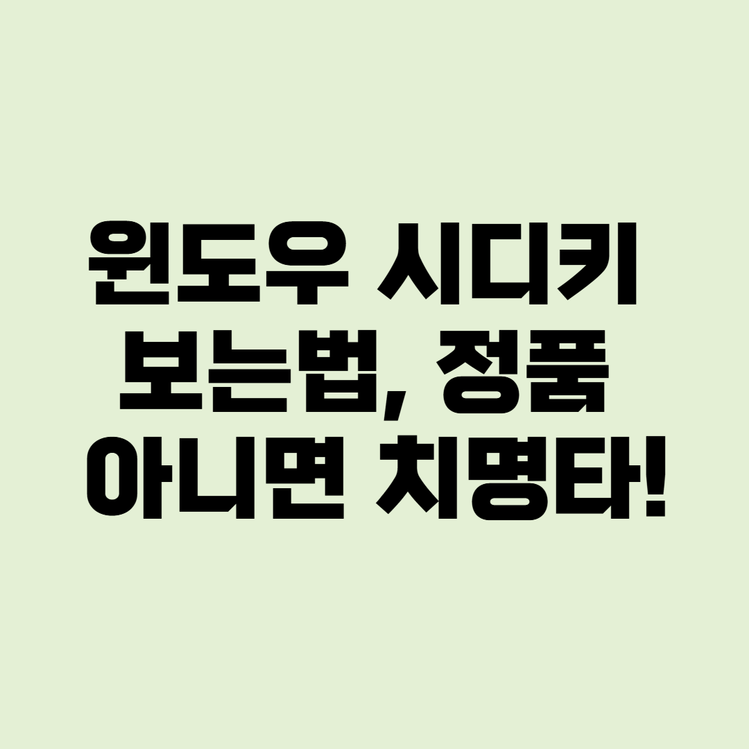 윈도우 시디키 보는법