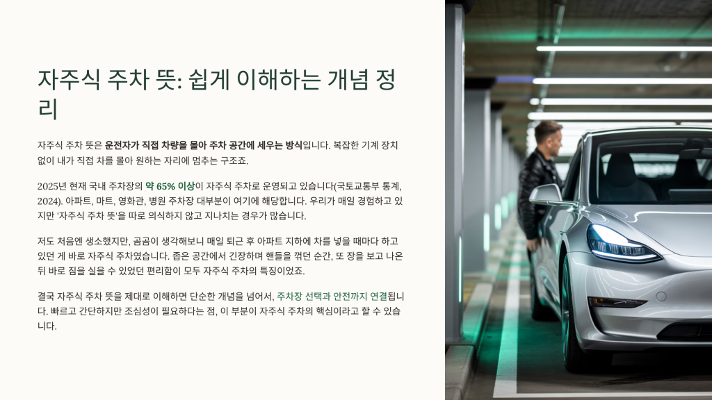 자주식 주차 뜻