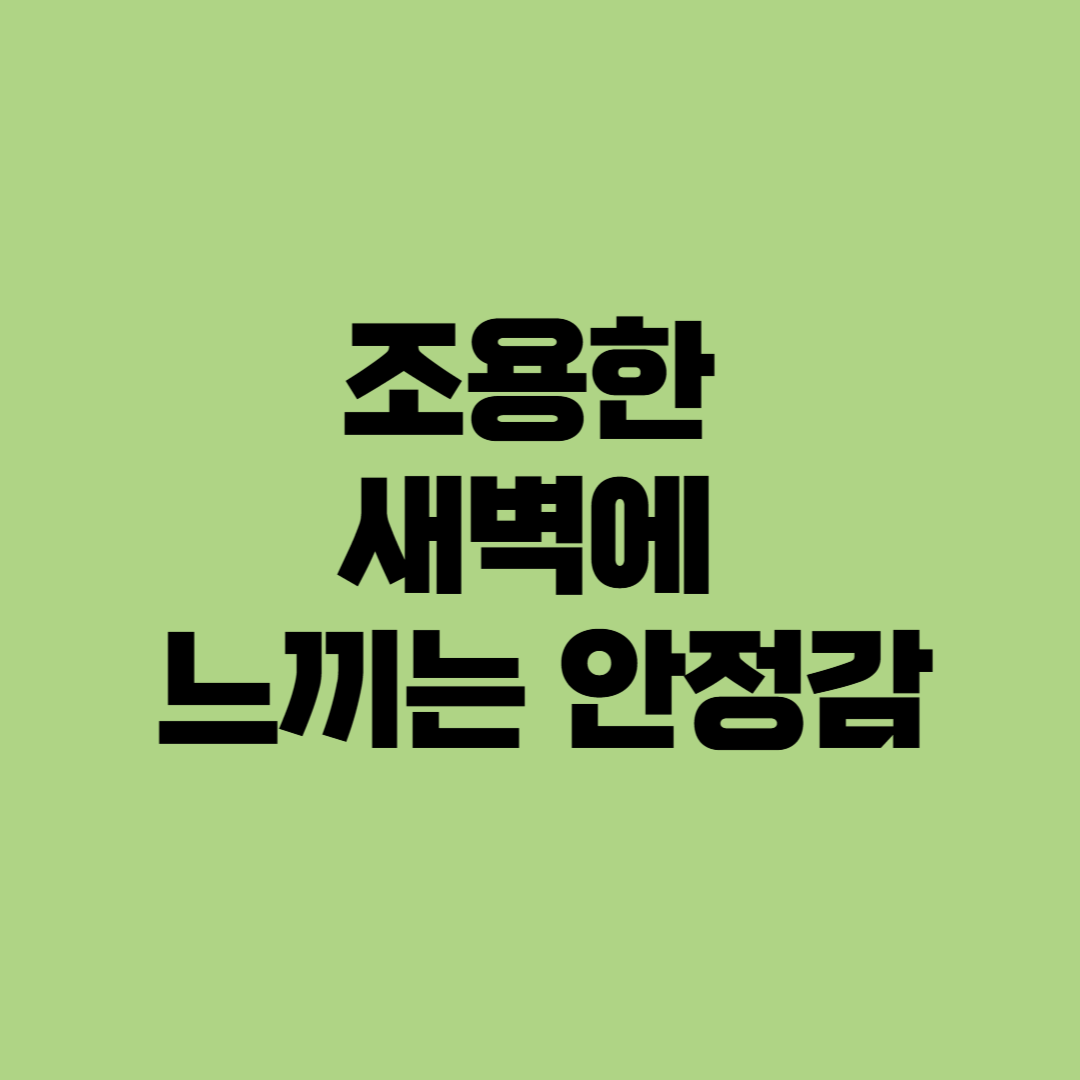 조용한 새벽